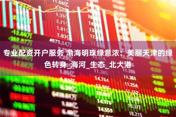专业配资开户服务 渤海明珠绿意浓：美丽天津的绿色转身_海河_生态_北大港