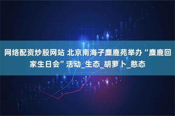 网络配资炒股网站 北京南海子麋鹿苑举办“麋鹿回家生日会”活动_生态_胡萝卜_憨态