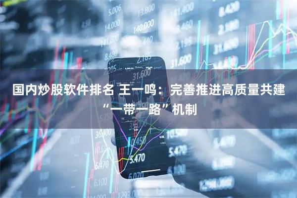 国内炒股软件排名 王一鸣：完善推进高质量共建“一带一路”机制