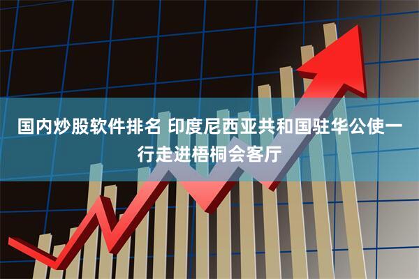 国内炒股软件排名 印度尼西亚共和国驻华公使一行走进梧桐会客厅